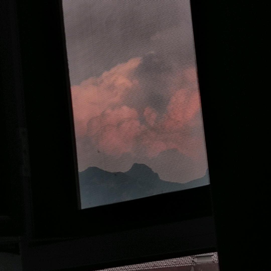 莫鸻
