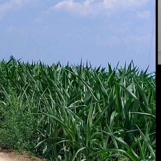 今天开始动起来