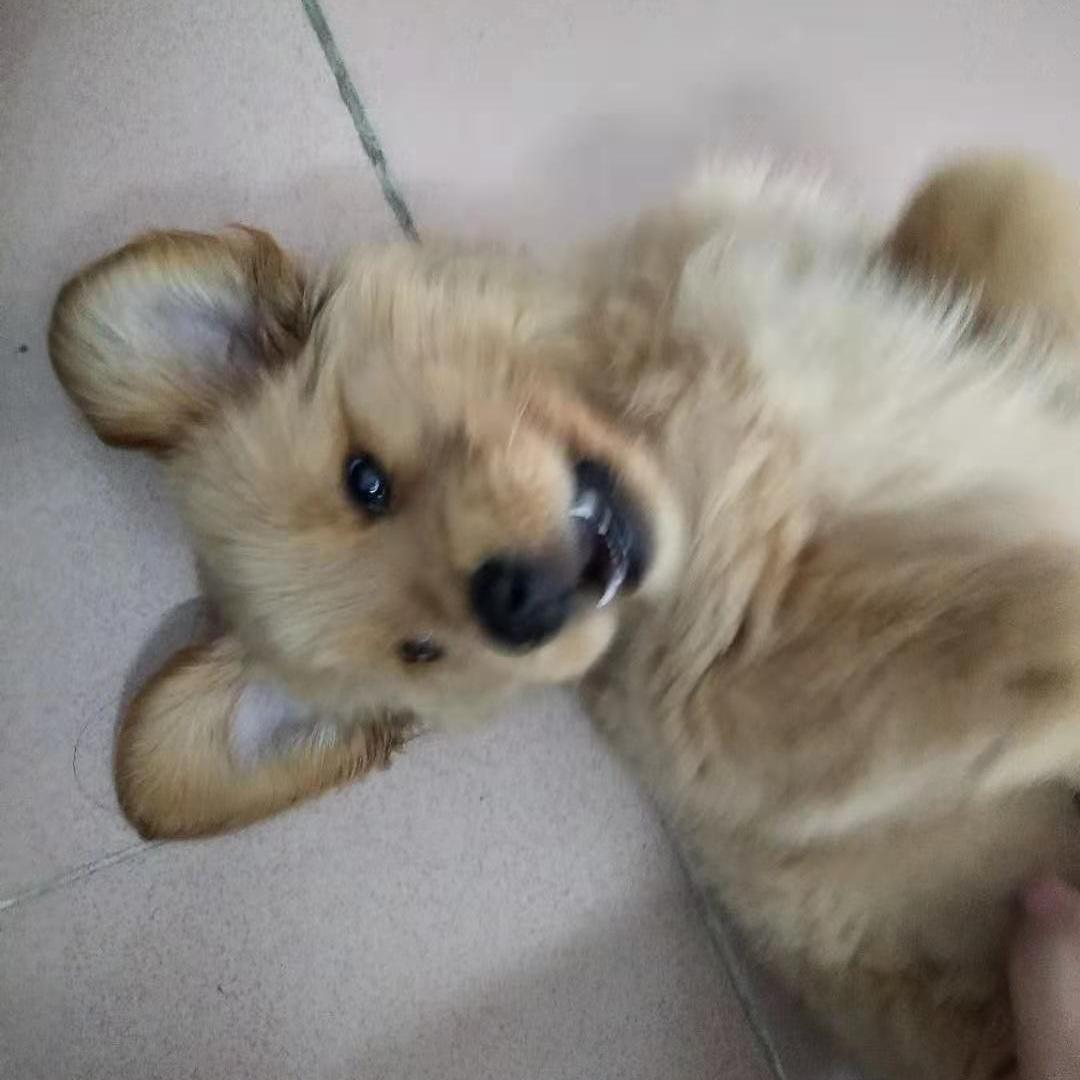 麦缇娜多元好物小铺