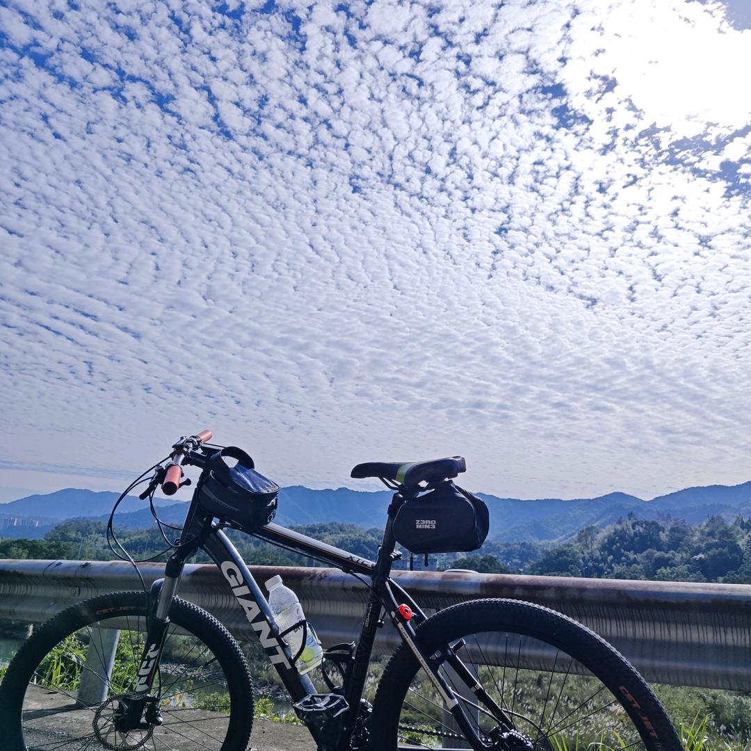 夜太长月光会变冷