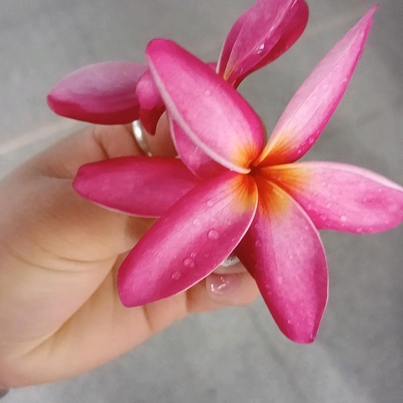 随遇而安🌺🌺