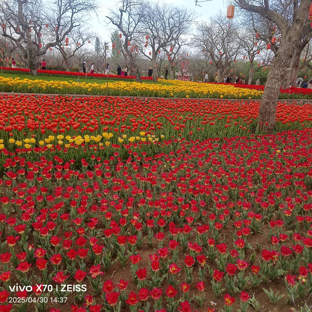 梦想成真，平凡的一生
