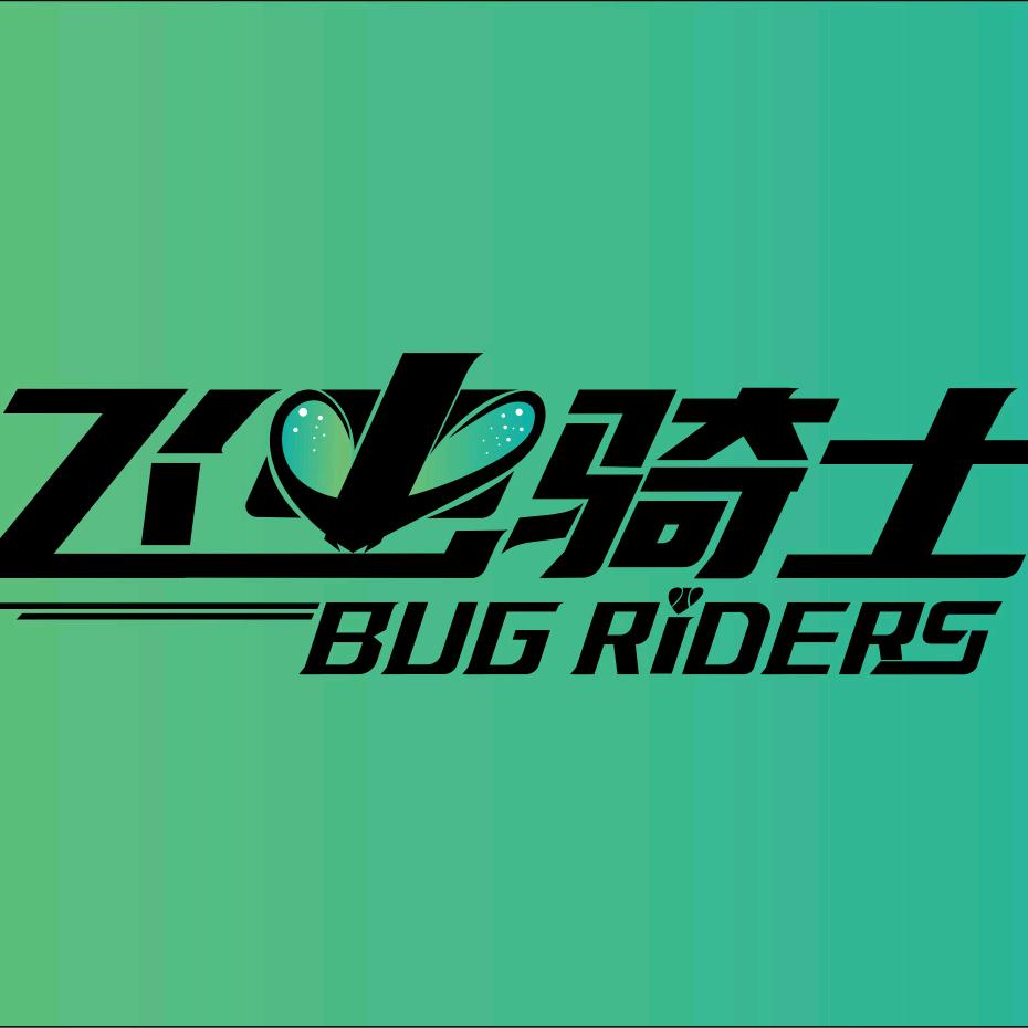 飞虫骑士