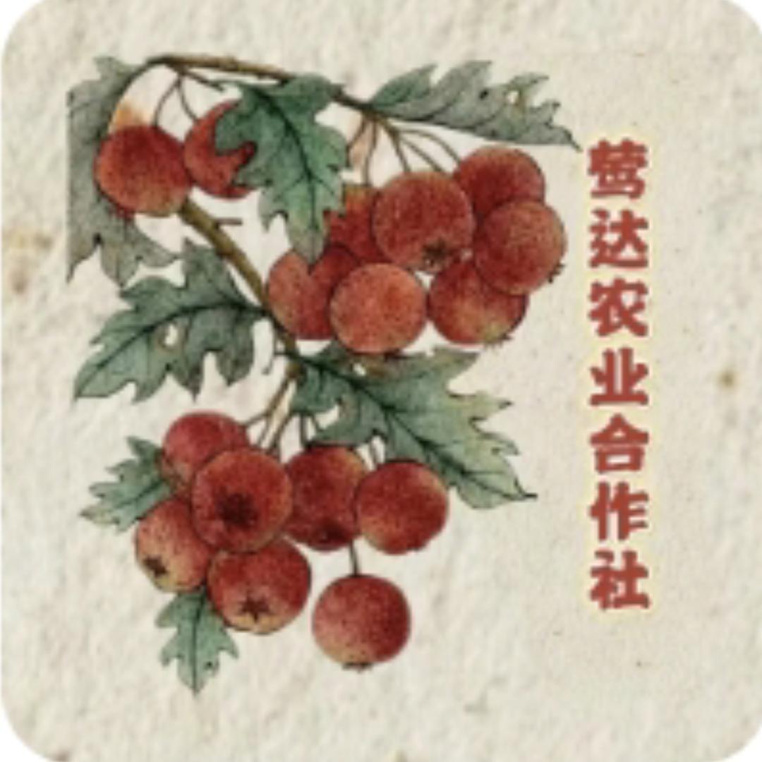 莺达农业合作社