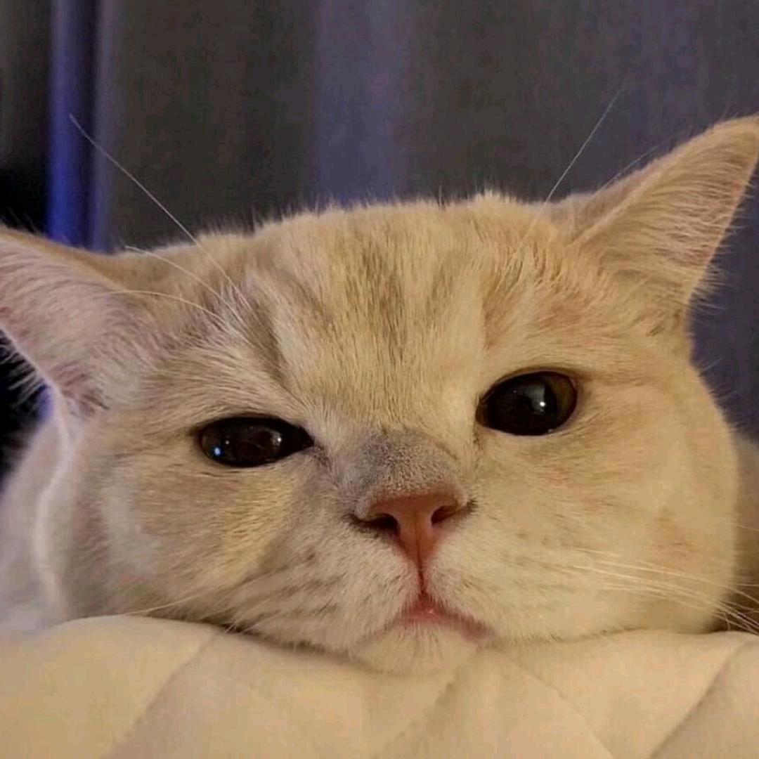 陋巷