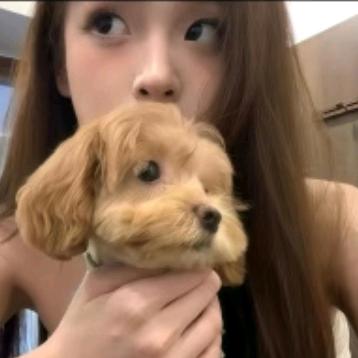 鱼儿