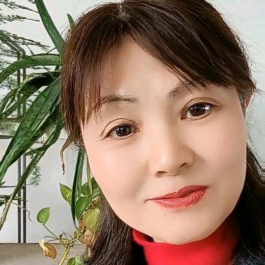 宁静（好物在橱窗）