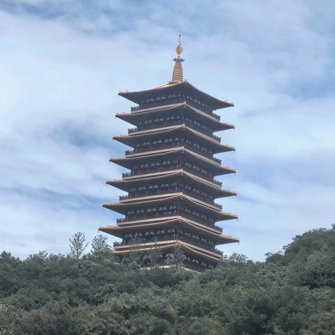 阳光