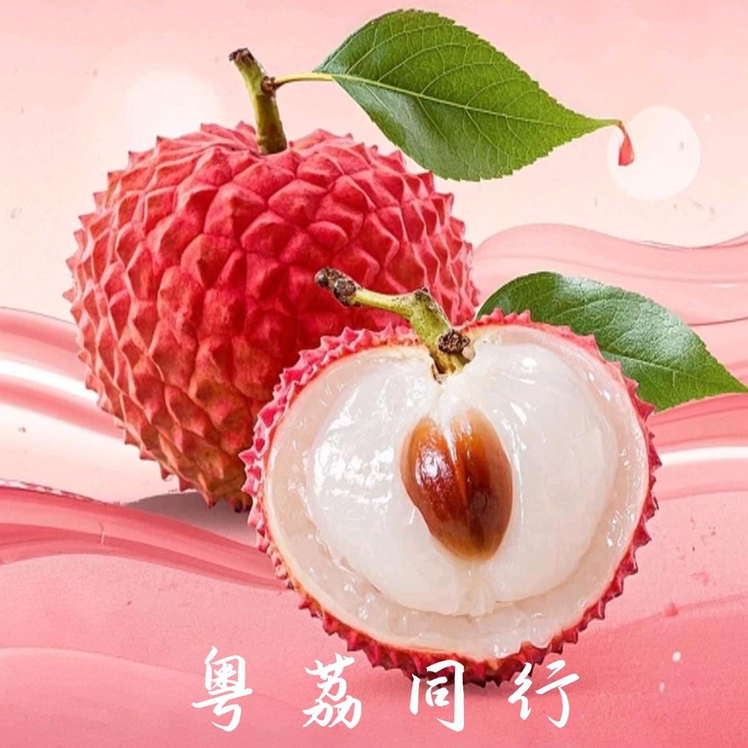 粤荔中国行↗ᴳᴰᴷ³³²¹