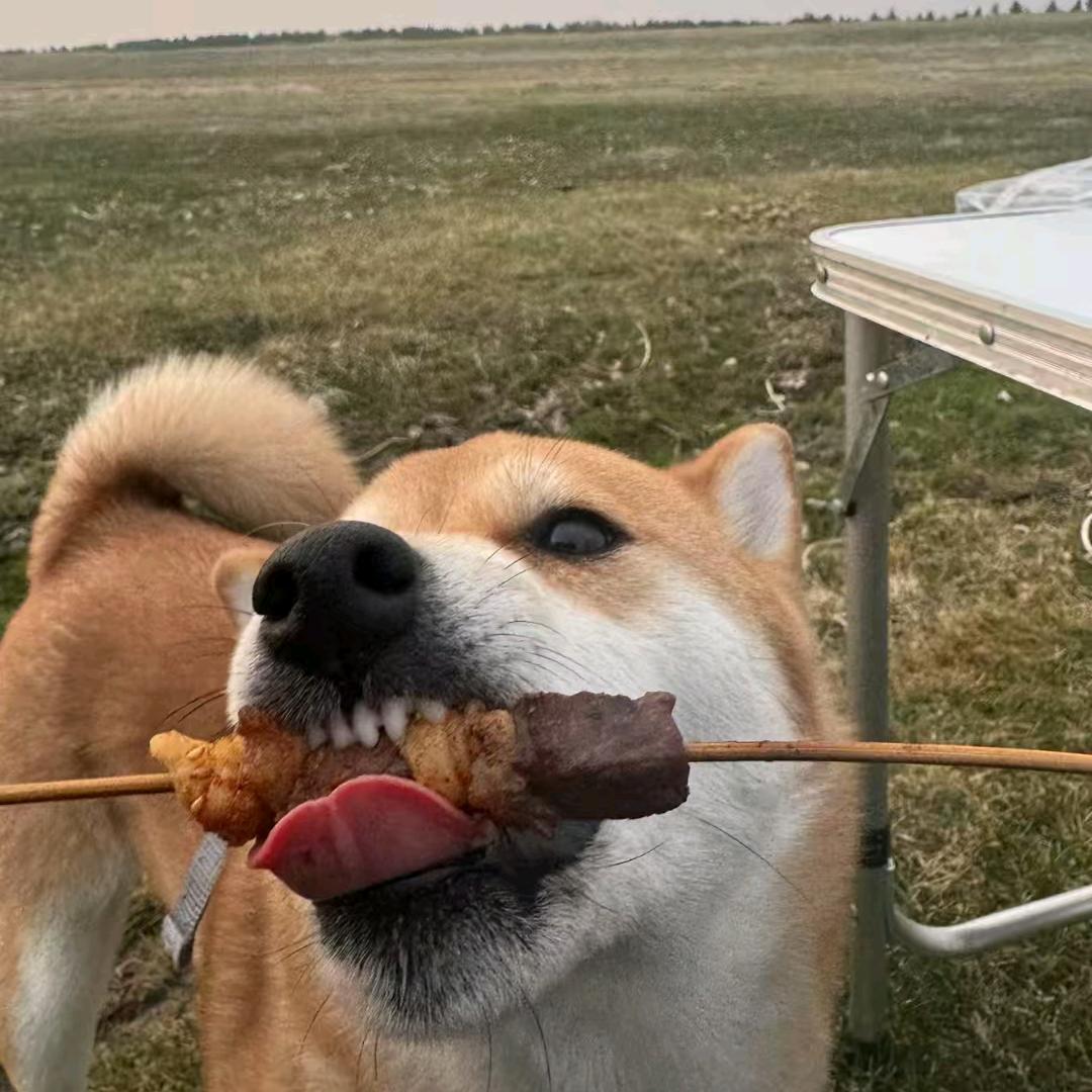 @ᥫᩣ໌້ᮨ㣻 罖᭄ℛ꧔ꦿᩚ࿐