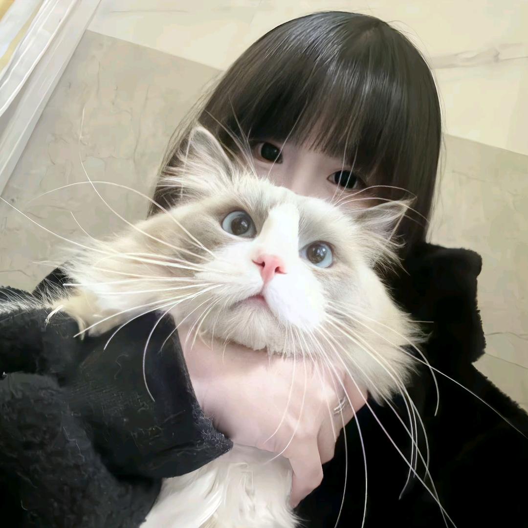 是你哭了吗