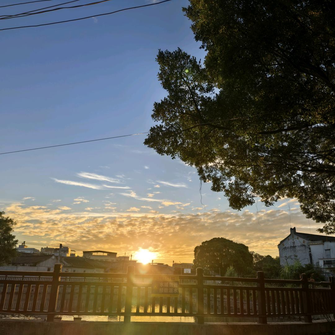 讨口饭吃的果果