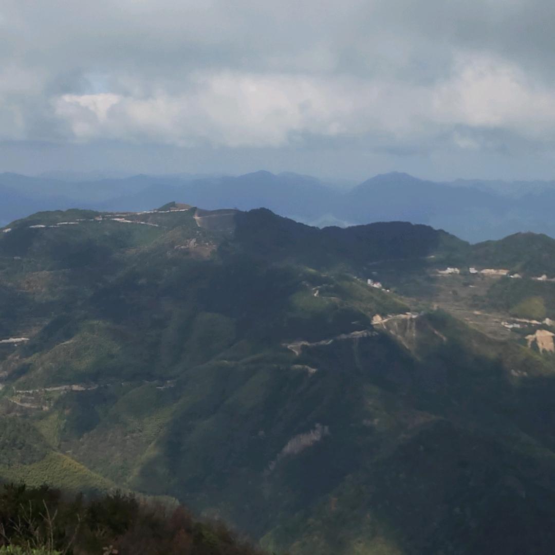 @花开广度 问道烟霞（助农）
