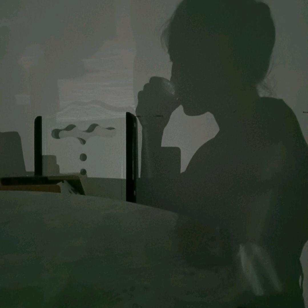 回忆的影子