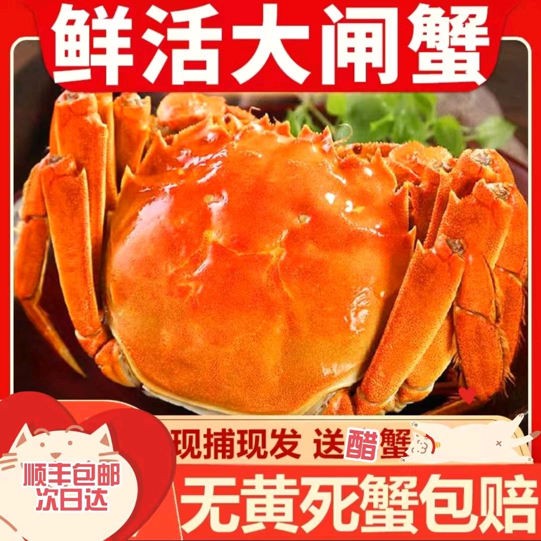 小宁大闸蟹