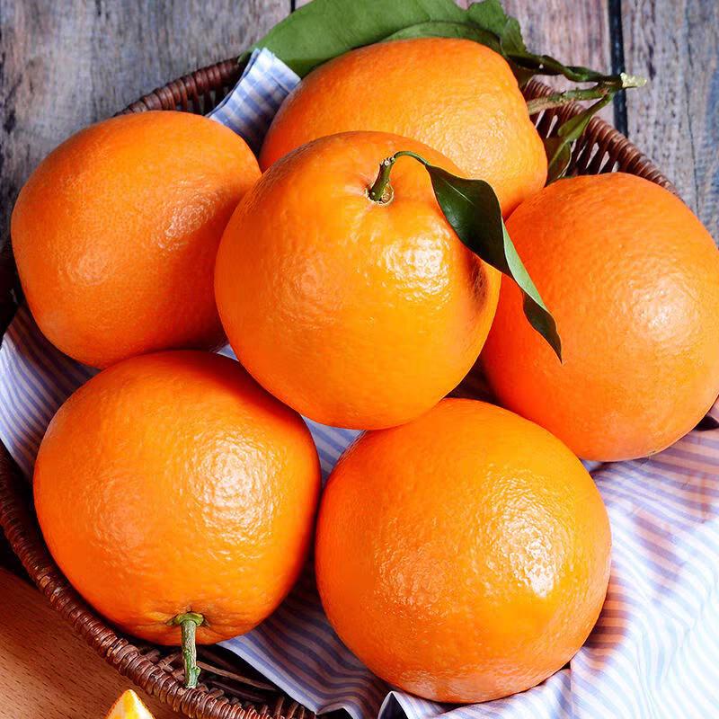 农人小旺赣南脐橙