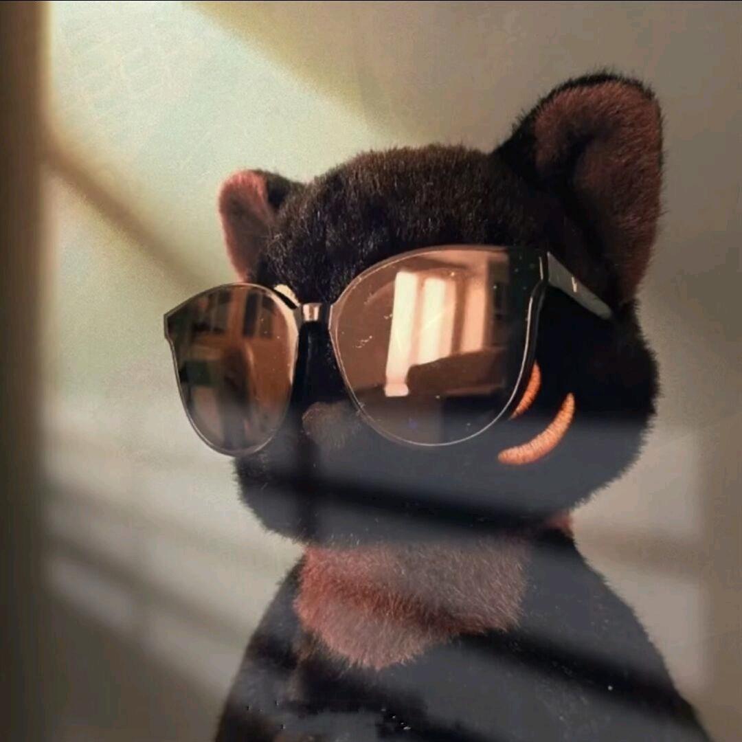 爱吃猫的鱼