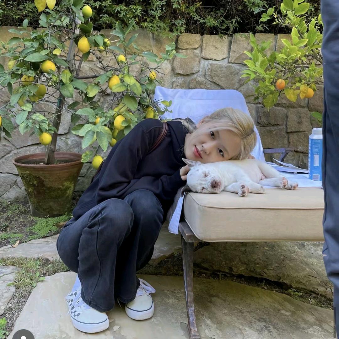 𝙋𝙞𝙥𝙧𝙞𝙮.²¹¹