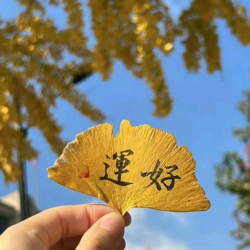 顺兴岩茗茶