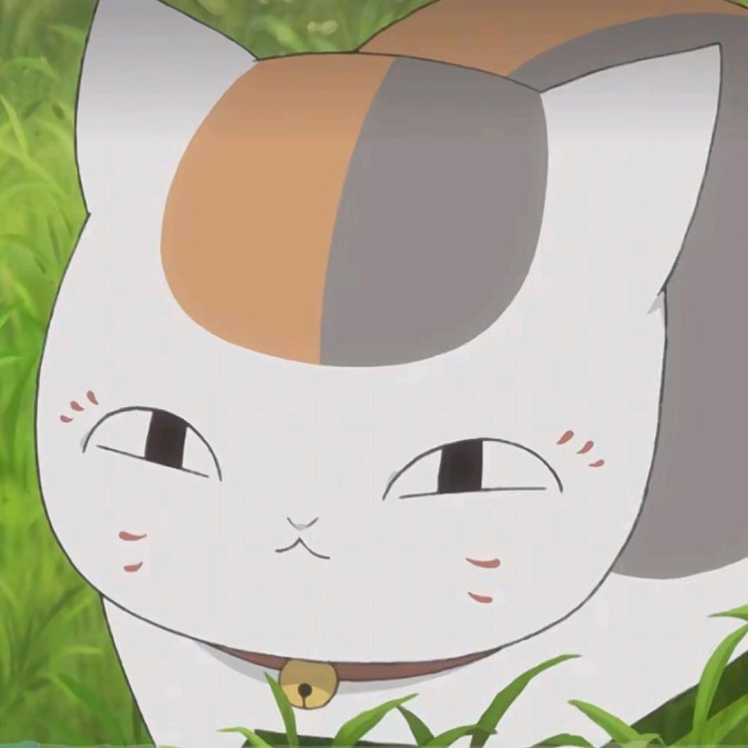 呆头木脑的羊