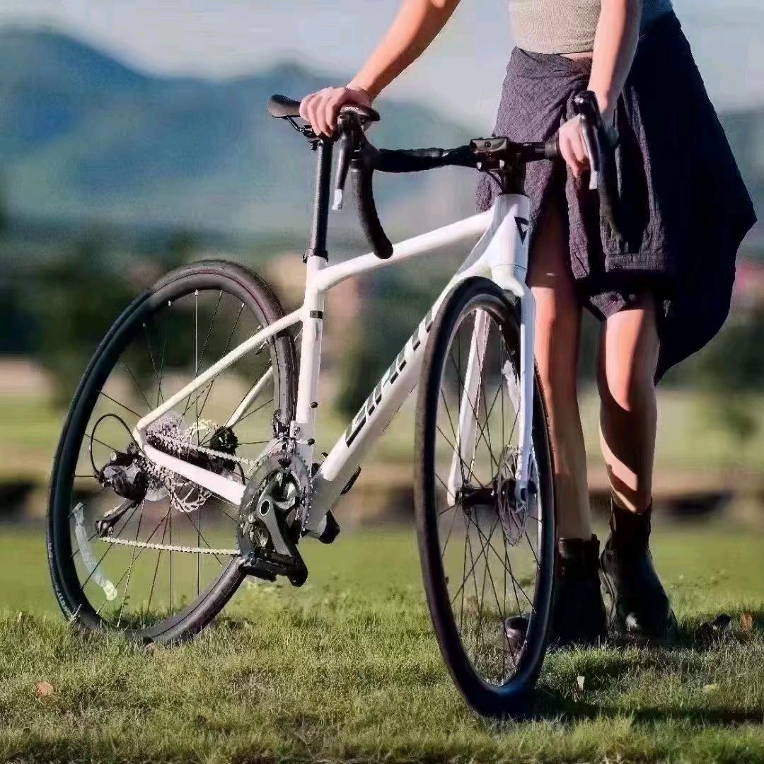 捷安特自行车惠东中航城店—清