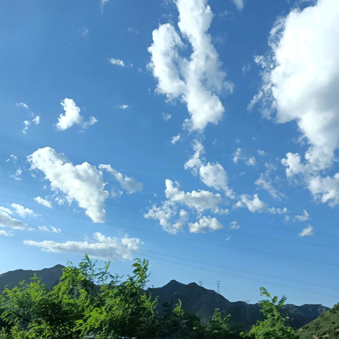 扬州郑大姐