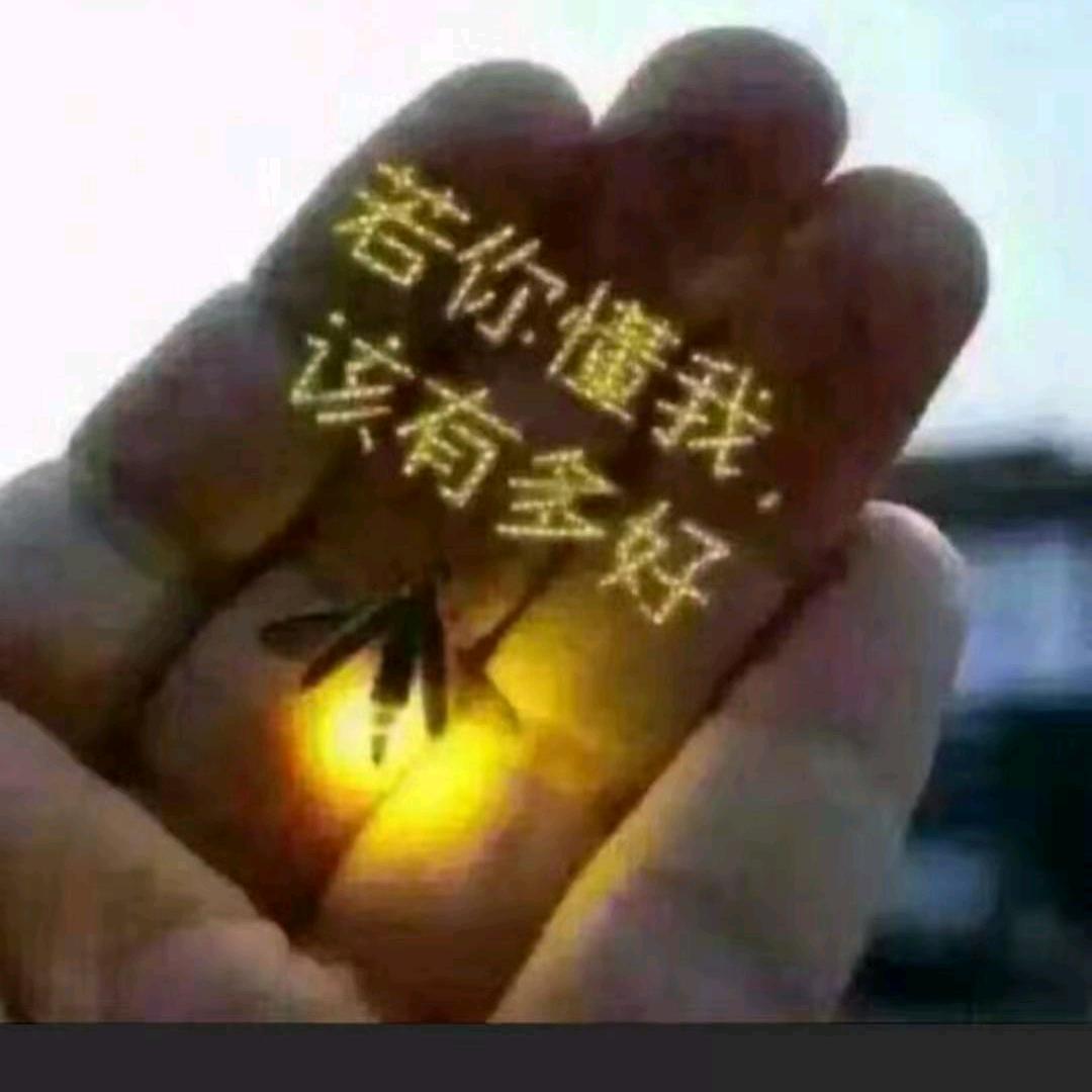 ☘️三叶草☘️