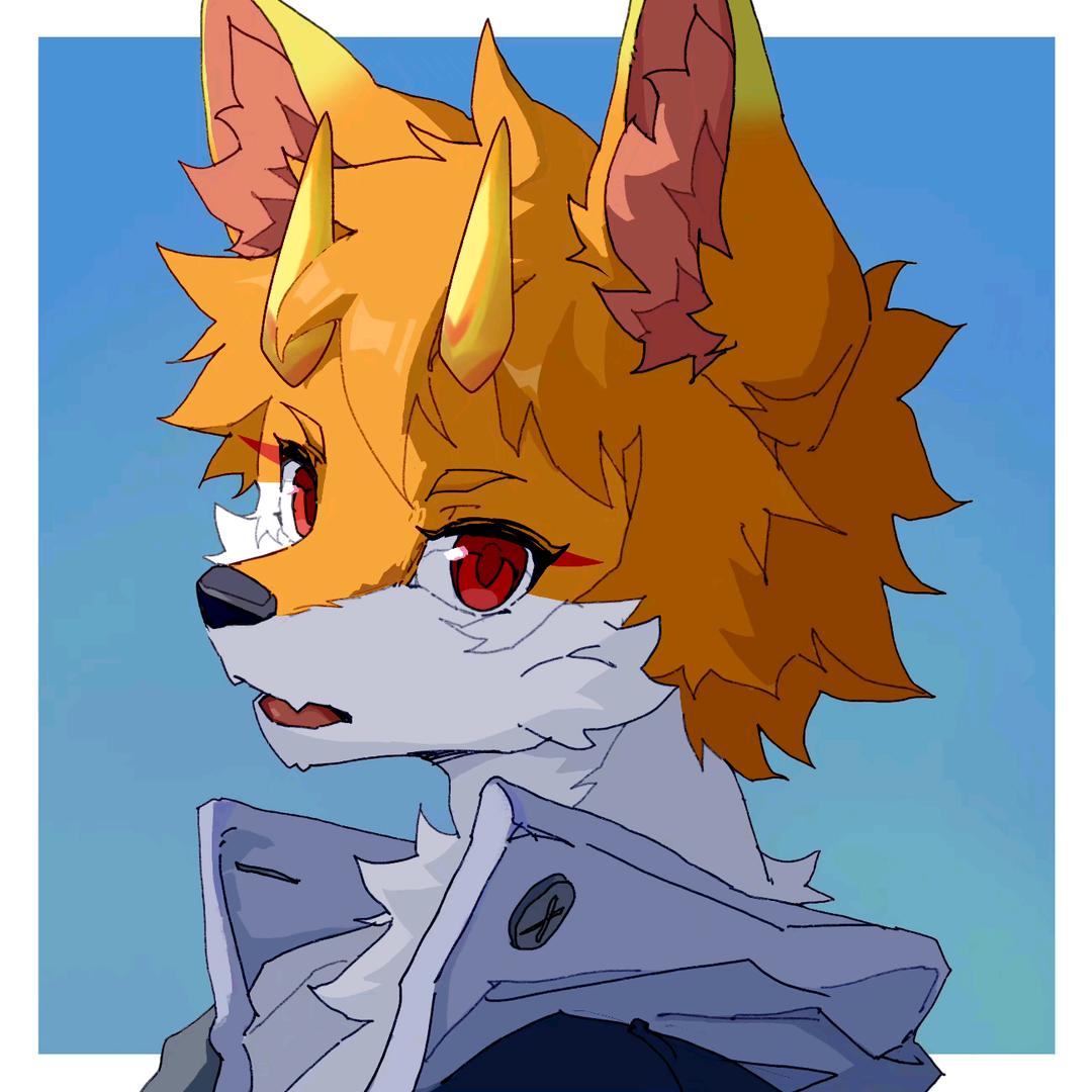 神奇的泷泽Ծ‸Ծ