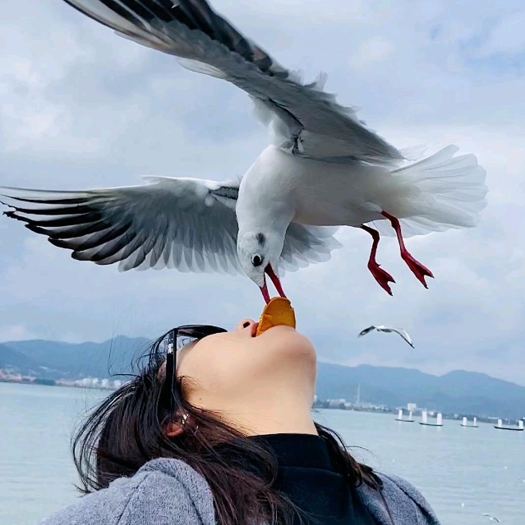 江城烟火
