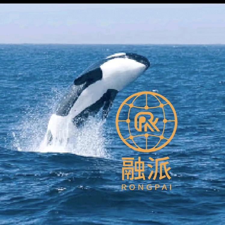 北京河北听雨