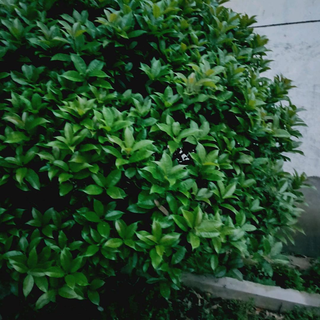 一不小心酱油倒多了