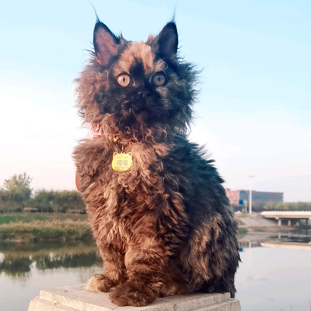 小鼻嘎妹妹