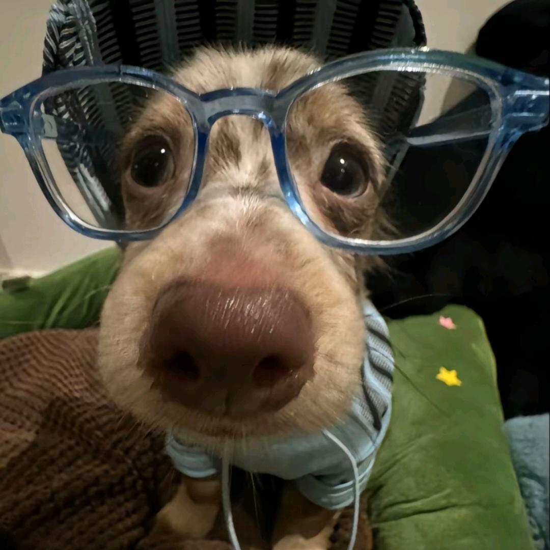 笑笑大王