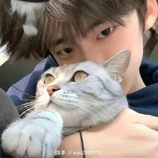蔡东东