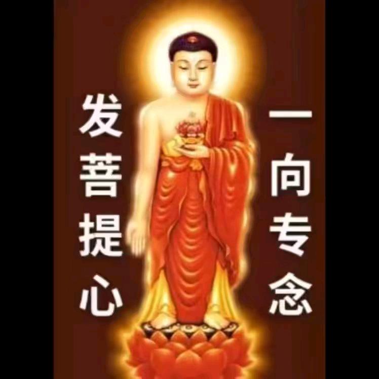 阿弥陀佛 心念归一