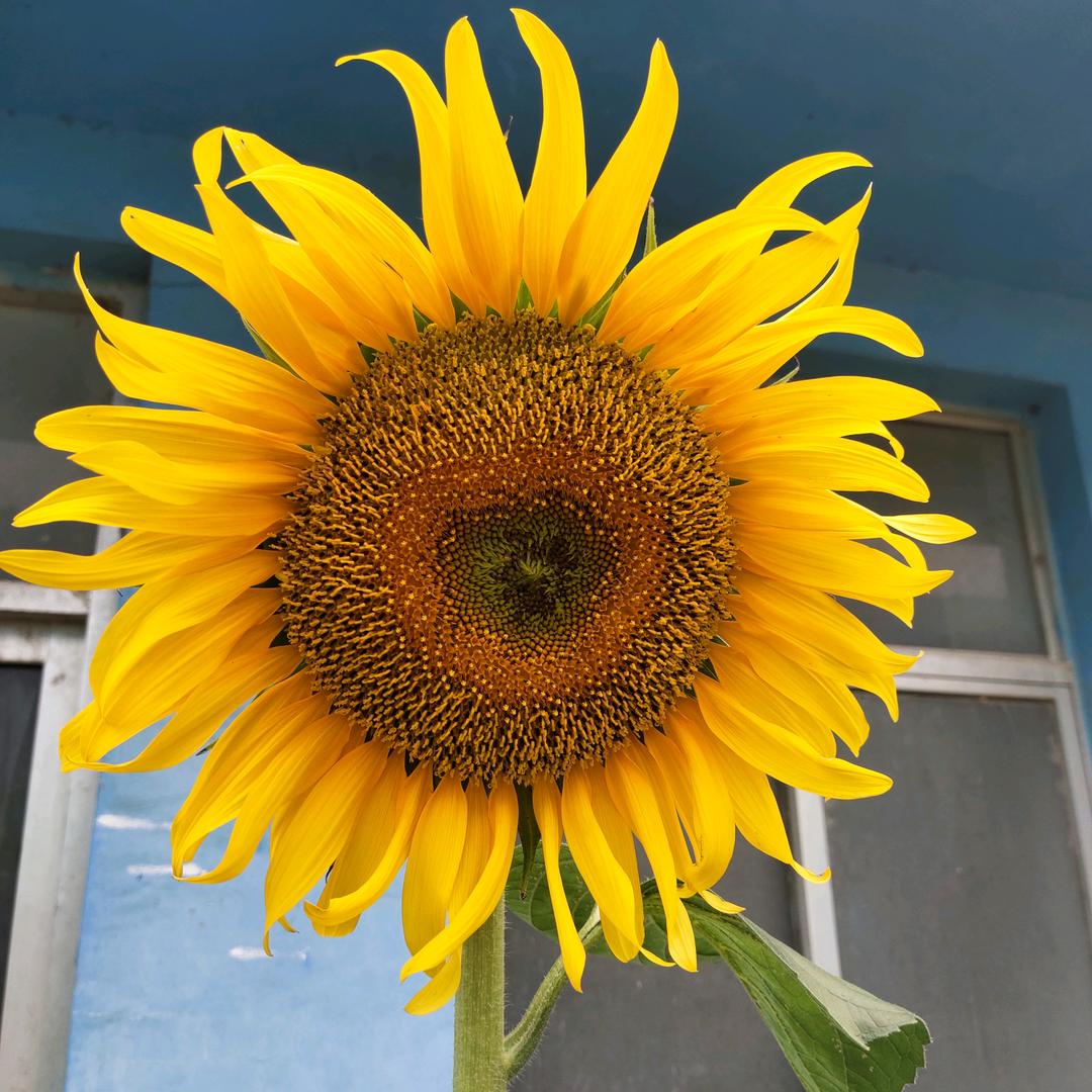 🐷⁰¹.₂₅郑℘࿐