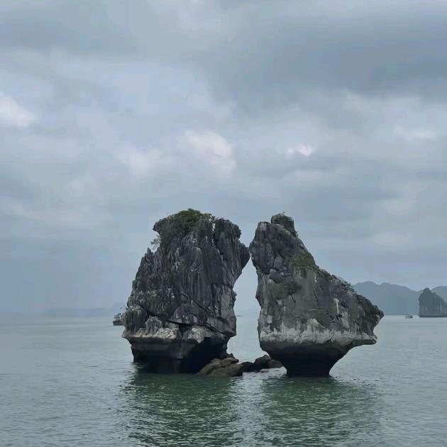笑着活下去