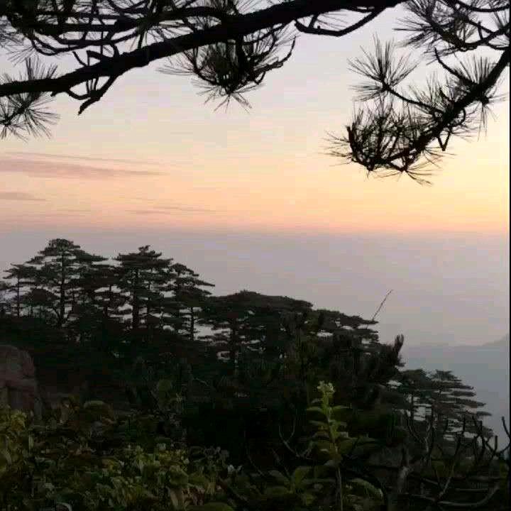 何复明