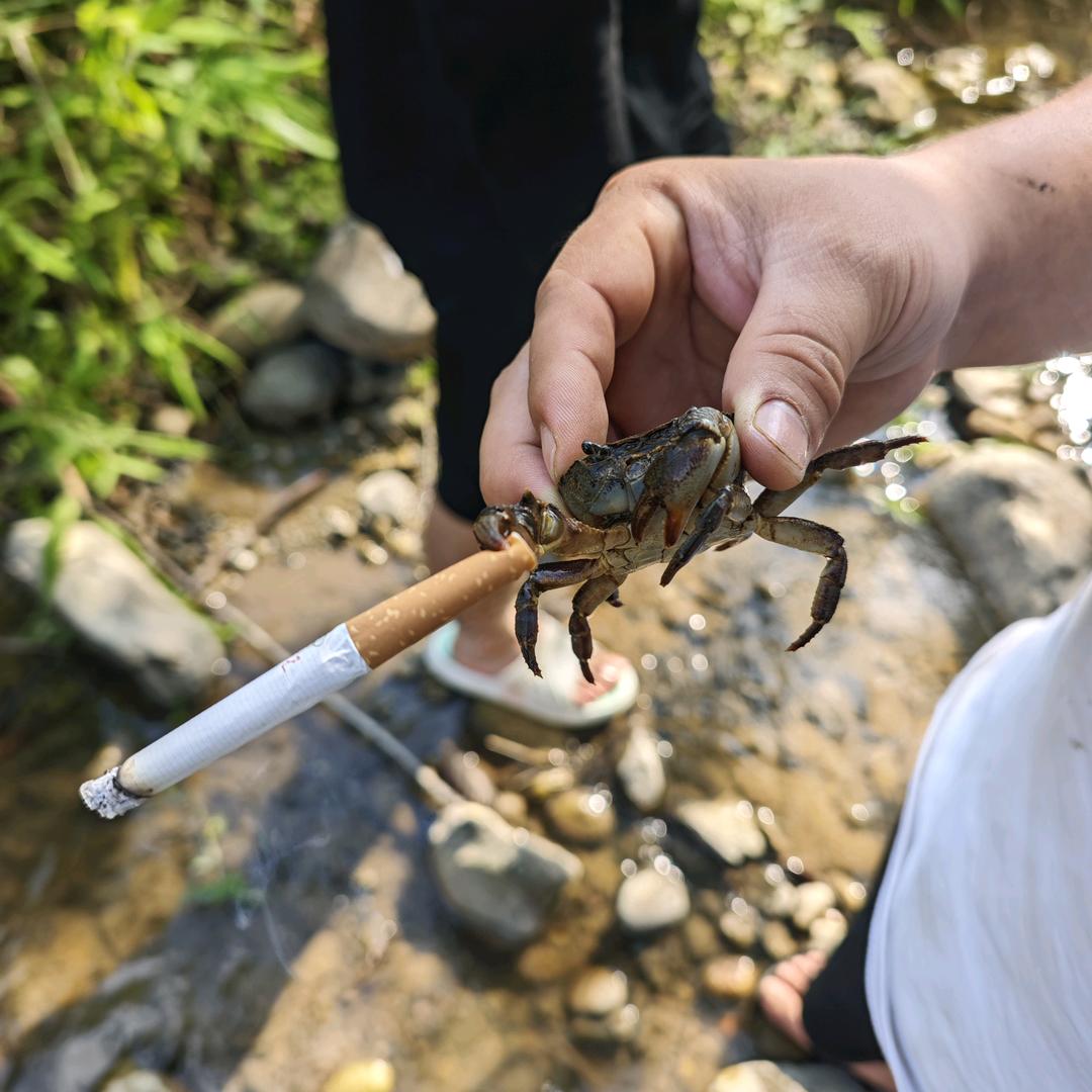 远山的少年心无疆