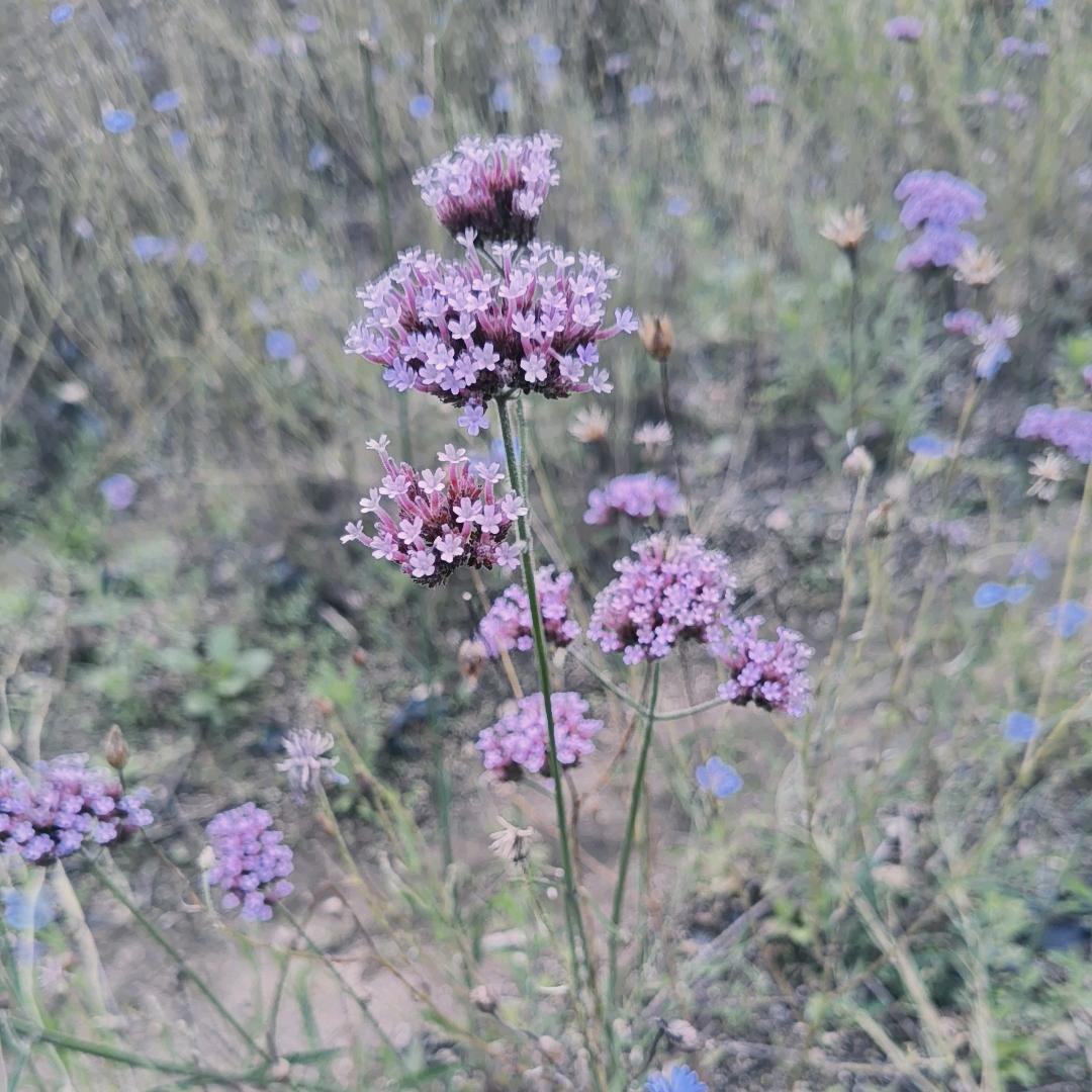 悦雅阁饰品小店