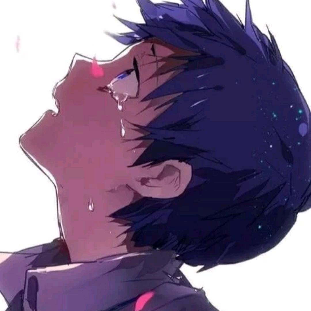 懿懿