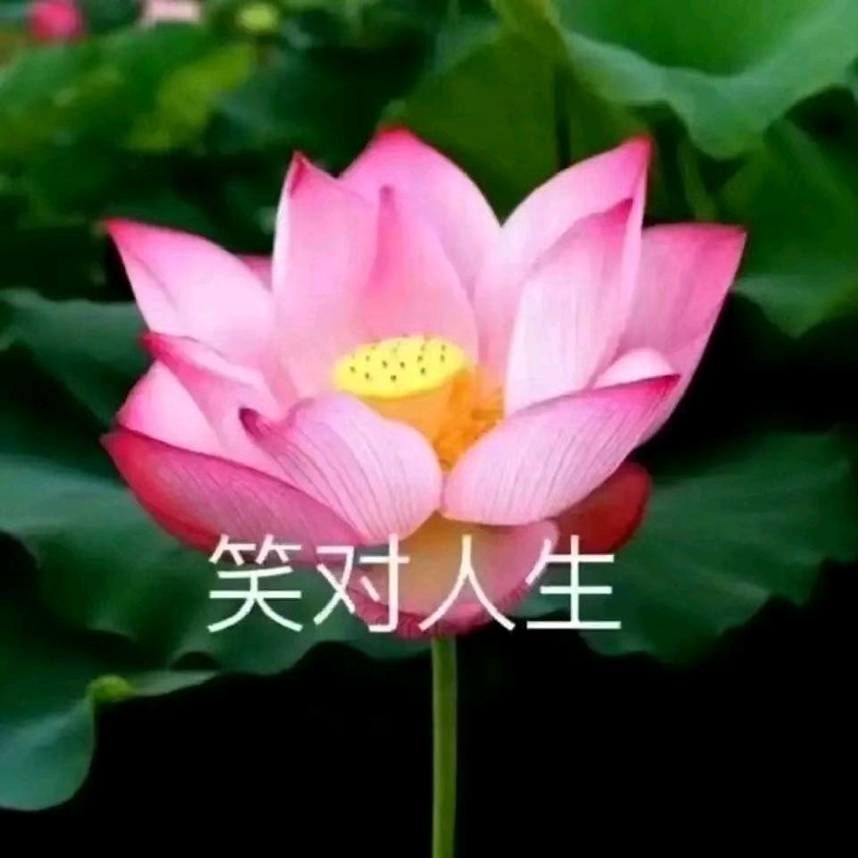 快乐人生