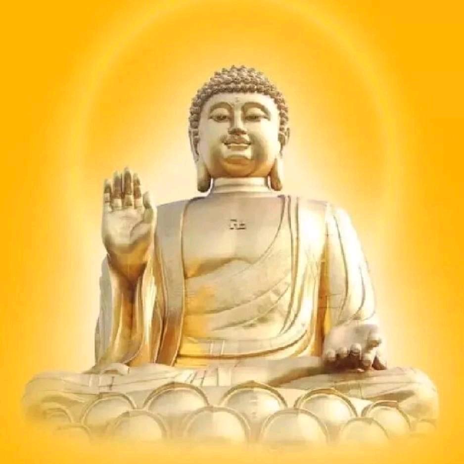 @奉陪到底～拒绝连赞👍🏻