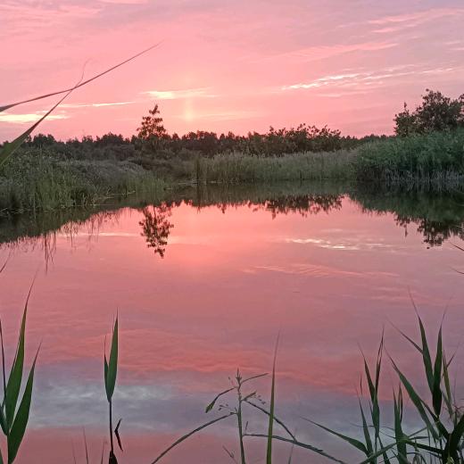 萬象城-新年礼物