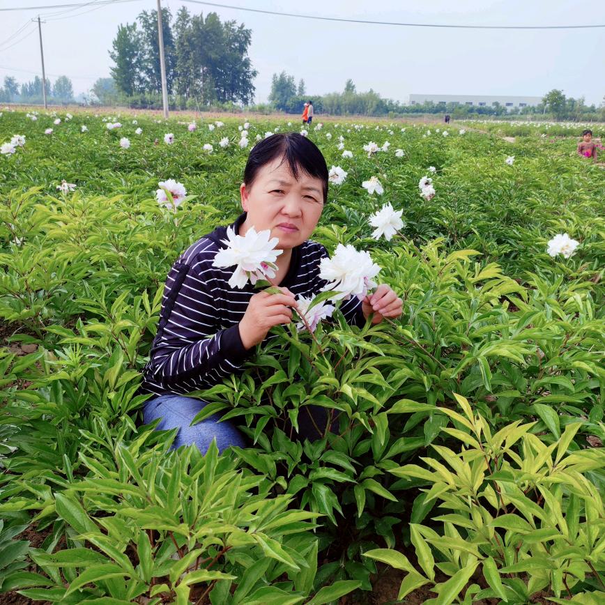 代代百货