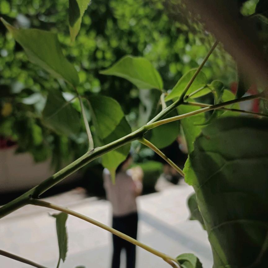 💰小财໊迷এ᭄