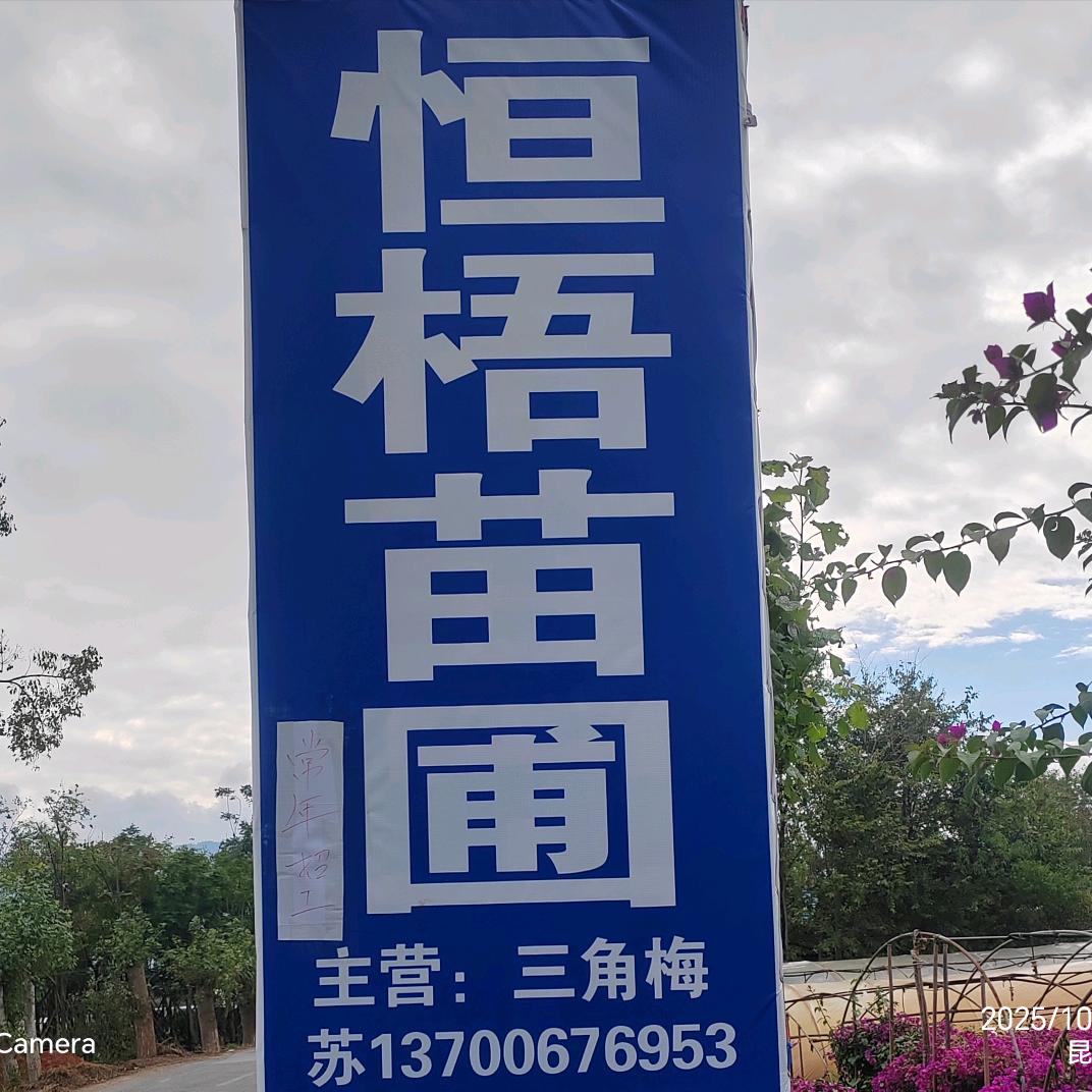 恒梧苗圃
