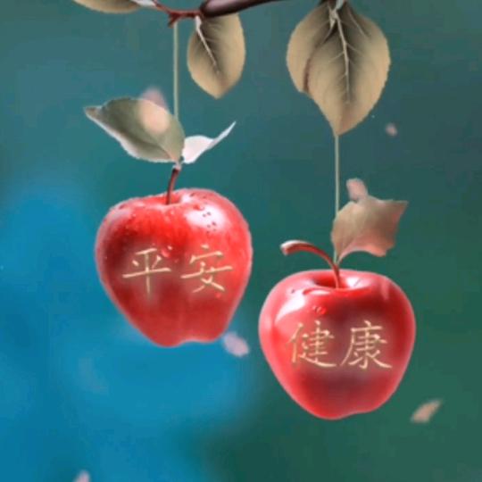 waog平安健康万年