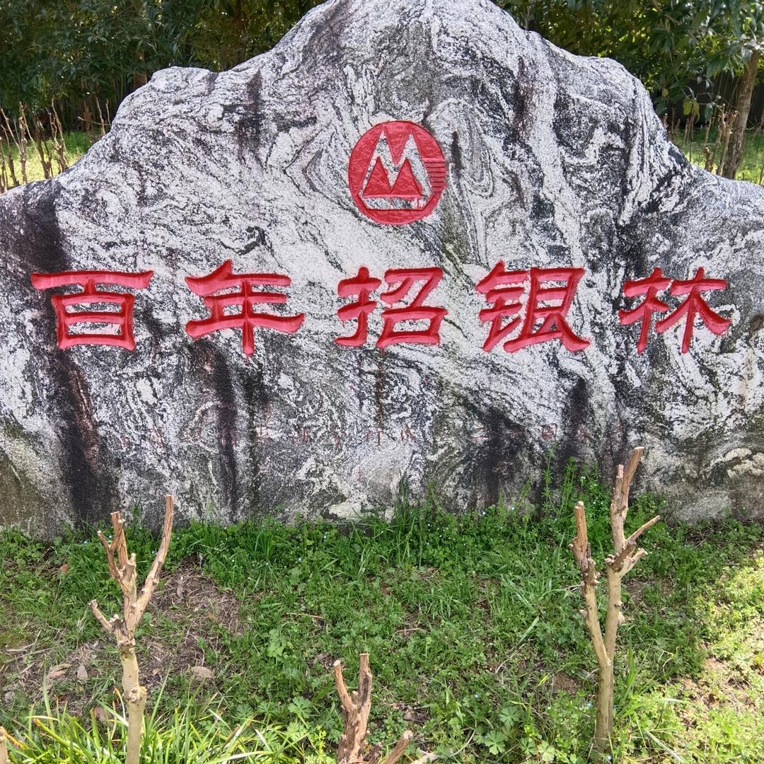 累