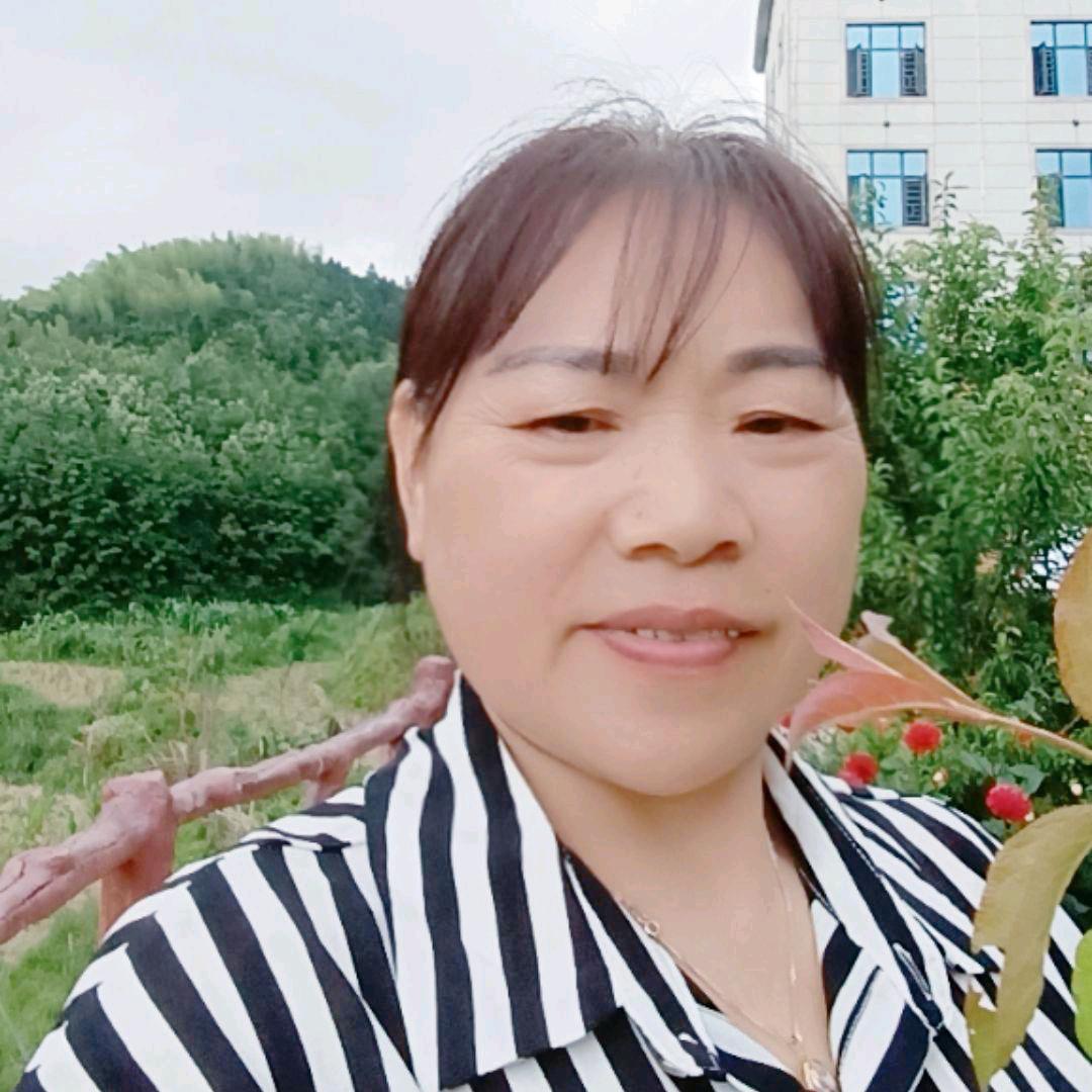 柦柦经典老歌